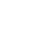 SkyDancer Logo